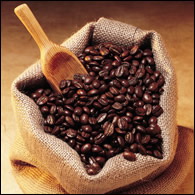 Java Estate